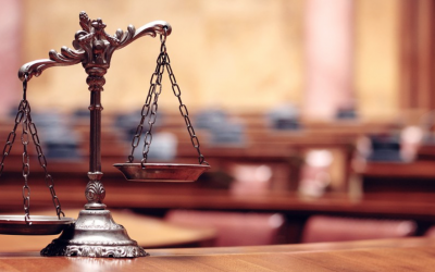 Blog: Why Courts, Part 2: Courts Are Good At Analyzing Equality